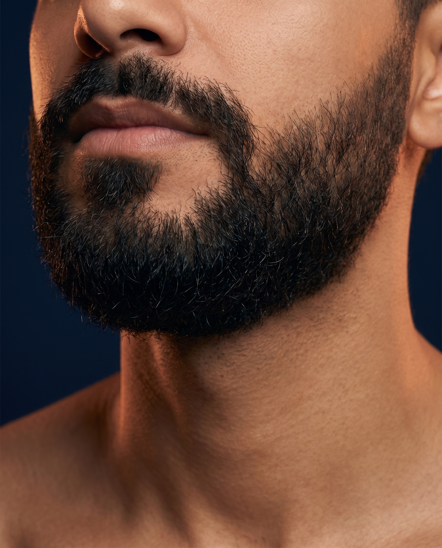 Calm skin under a full beard, warm directional light against a navy background
